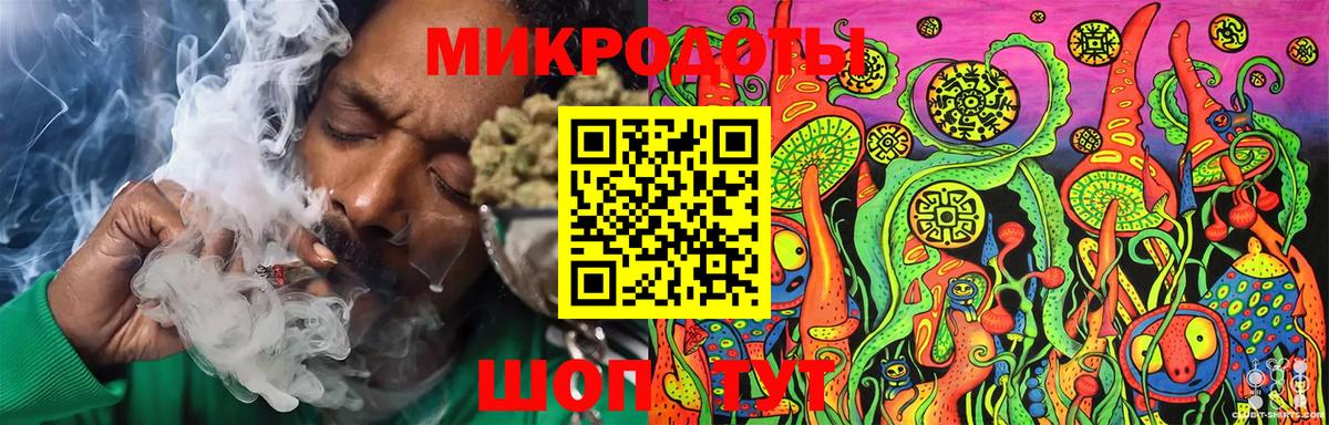 Галлюциногенные грибы Cubensis Губаха