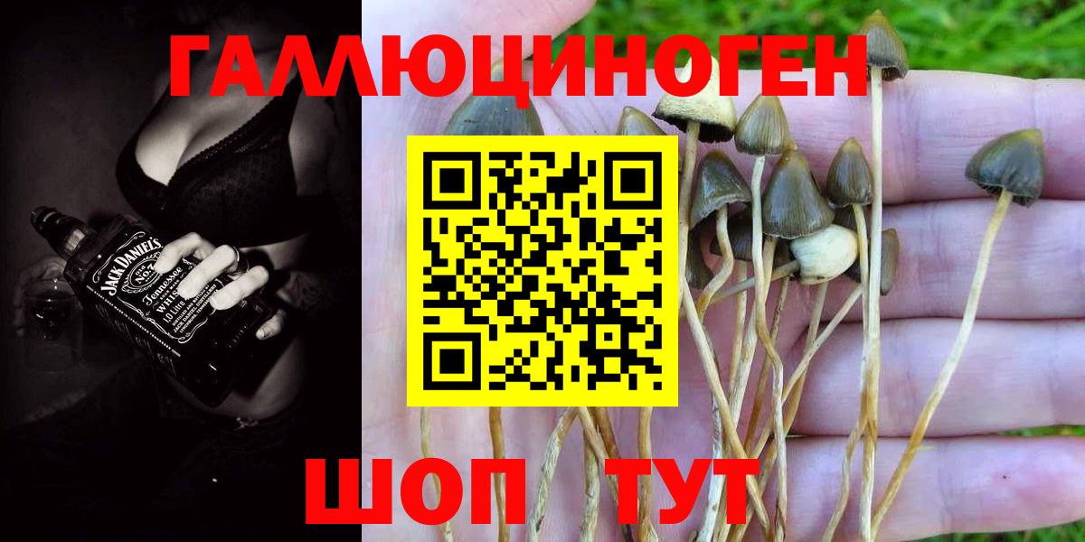 Галлюциногенные грибы MAGIC MUSHROOMS  Губаха  Галлюциногенные грибы мицелий 