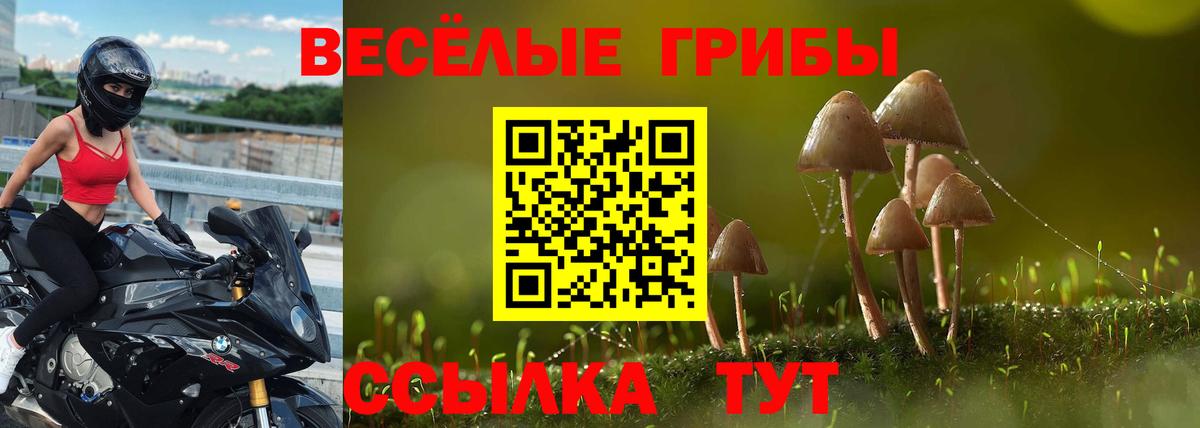 Галлюциногенные грибы Magic Shrooms Губаха